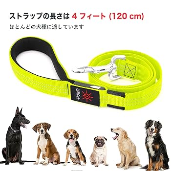 【新品未使用】犬用長いリード【USB充電式LEDライト付き】 新品未使用】犬用長いリード【USB充電式LEDライト付き】 犬
